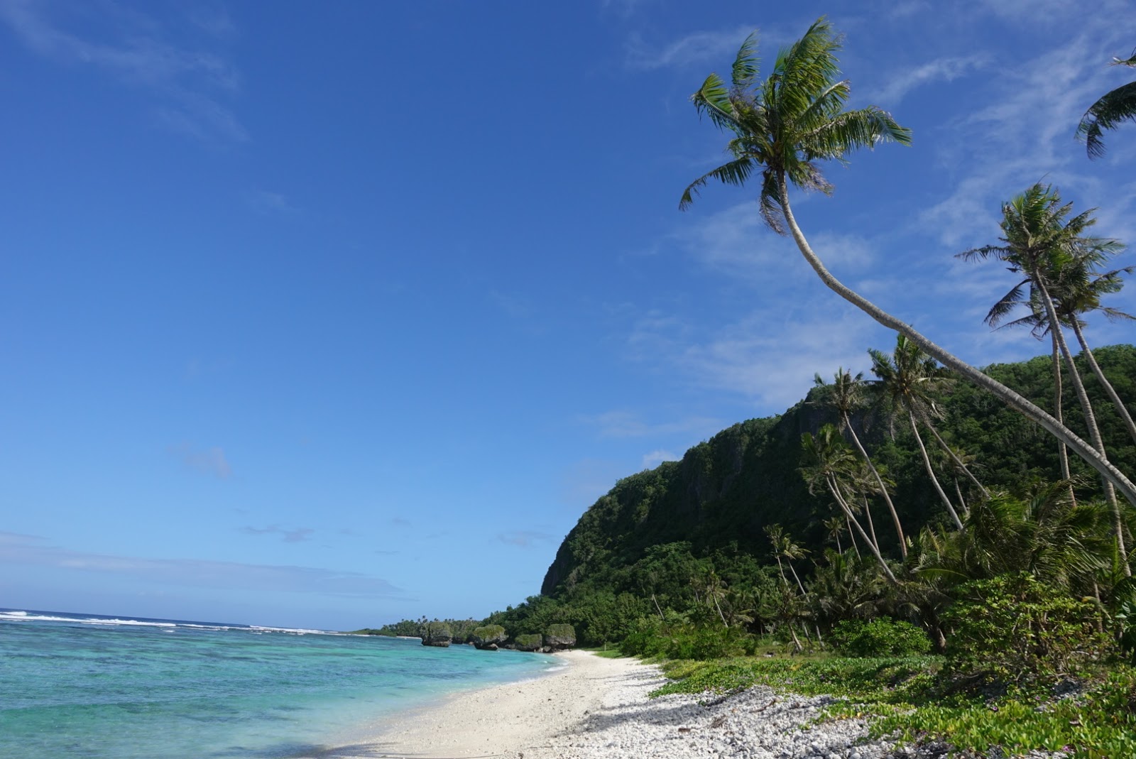 Photo of Mushroom Rock Beach wild area