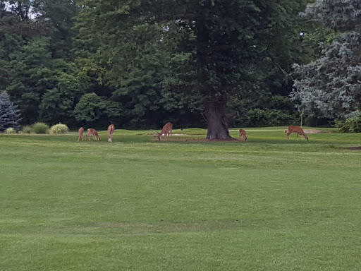 Golf Course «William F. Larkin Golf Course at Colonial Terrace», reviews and photos, 1003 Wickapecko Dr, Ocean Township, NJ 07712, USA