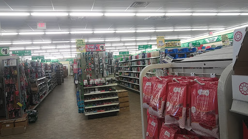 Dollar Store «Dollar Tree», reviews and photos, 1118 Avenue of the States, Chester, PA 19013, USA