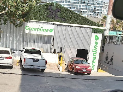 Muros Verdes, Follaje Artificial, Plantas Artificiales, papel tapiz y pasto Artificial, Greenline Tijuana