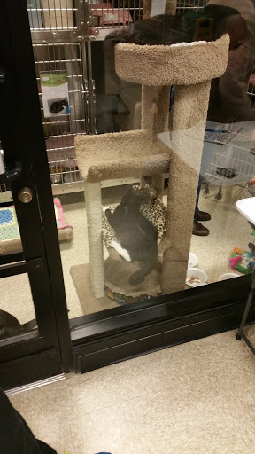 Pet Supply Store «PetSmart», reviews and photos, 60 NJ-17, Paramus, NJ 07652, USA