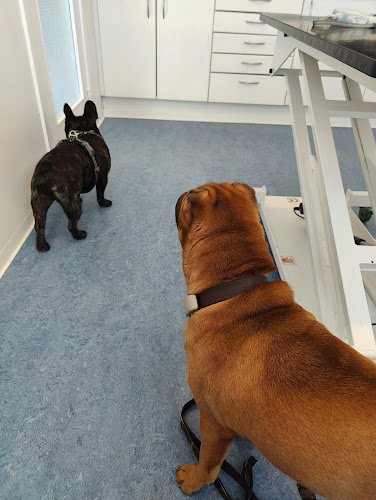 Husum Dyreklinik - Bispebjerg