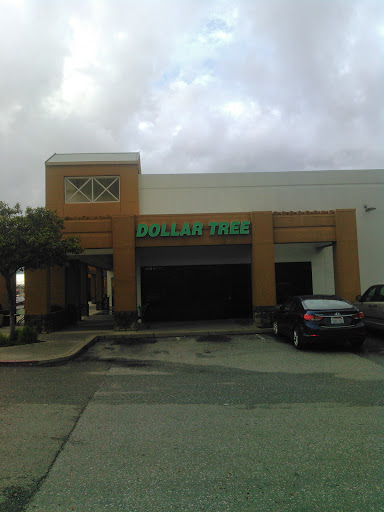 Dollar Store «Dollar Tree», reviews and photos, 2136 Grass Valley Hwy, Auburn, CA 95603, USA