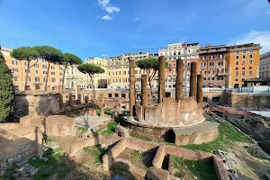 Largo di Torre Argentina image