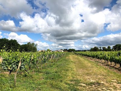 Château Quercy à Vignonet