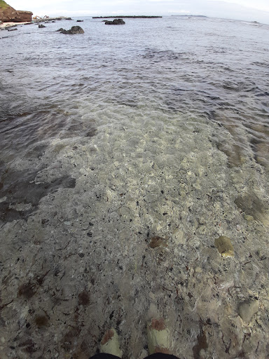 Top 20 cửa hàng akemi Huyện Lý Sơn Quảng Ngãi 2022