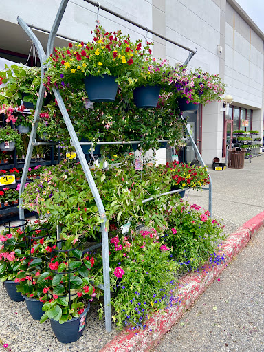 Grocery Store «Quality Food Center», reviews and photos, 4919 Evergreen Way, Everett, WA 98203, USA