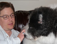 PawsandClawsReadings - Photo 4 - Car repair in , Round Rock