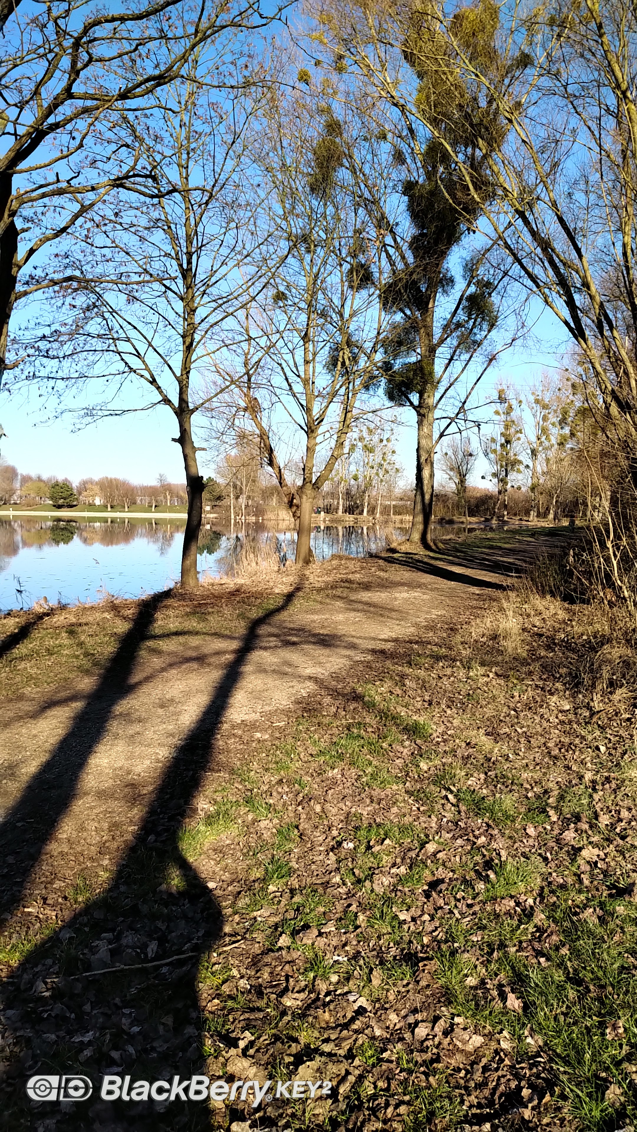 Photo n° 5 de l'avis de EL.M fait le 07/10/2018 à 20:05