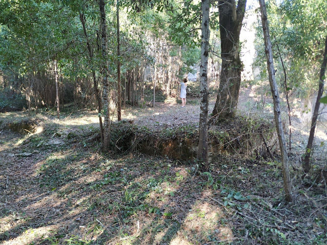 Termas da Amieira - Spa