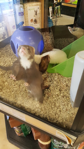 Pet Supply Store «Petco Animal Supplies», reviews and photos, 16710 Royalton Rd, Strongsville, OH 44136, USA