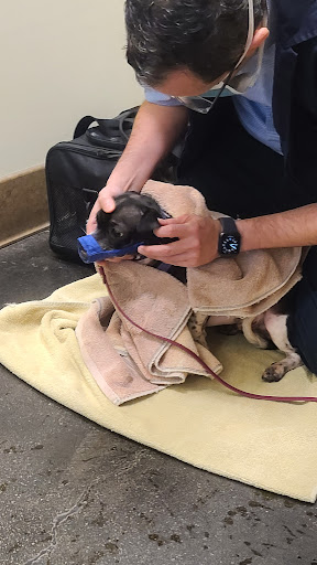 Primary Care Animal Hospital image