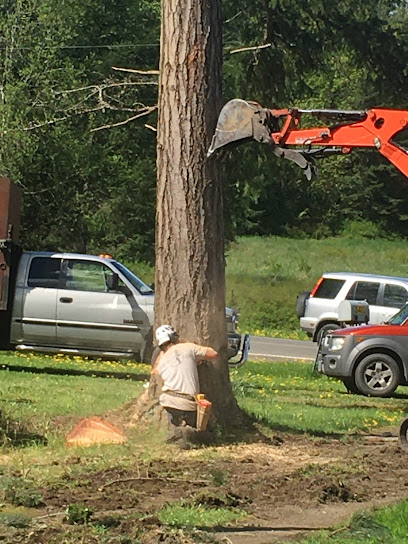 Summit Tree Care And Removal