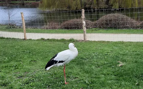 Speeltuin Brielmeersen image