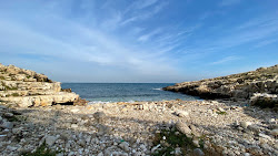 Ponte dei Lapilli beach'in fotoğrafı - tatil için iyi evcil hayvan dostu nokta