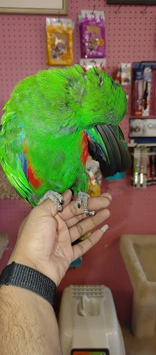 Pet Store «Hendersonville Pet Shop», reviews and photos, 1400 Spartanburg Hwy, Hendersonville, NC 28792, USA