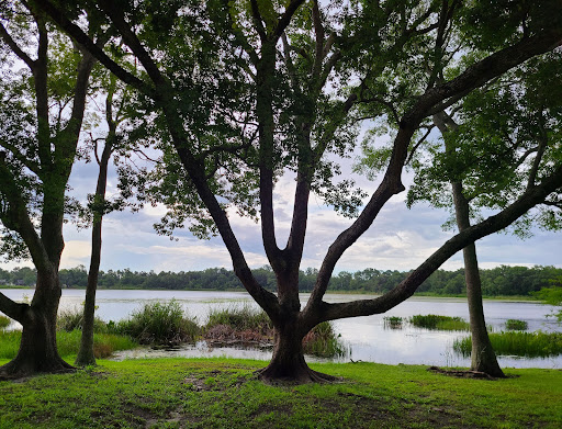 Park «Red Bug Lake Park», reviews and photos, 3600 Red Bug Lake Rd, Casselberry, FL 32707, USA