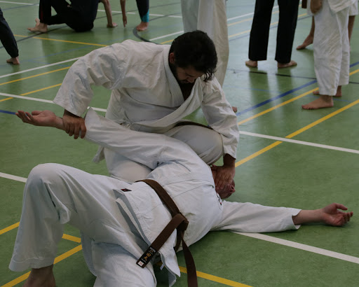 Japanese academies in Manchester