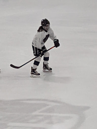 Ice Skating Rink «The Edge Ice Arena», reviews and photos, 735 E Jefferson St, Bensenville, IL 60106, USA