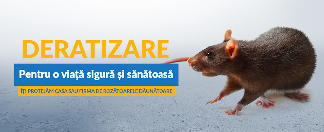 Opinii despre EURO PEST MANAGEMENT în <nil> - Servicii de deratizare