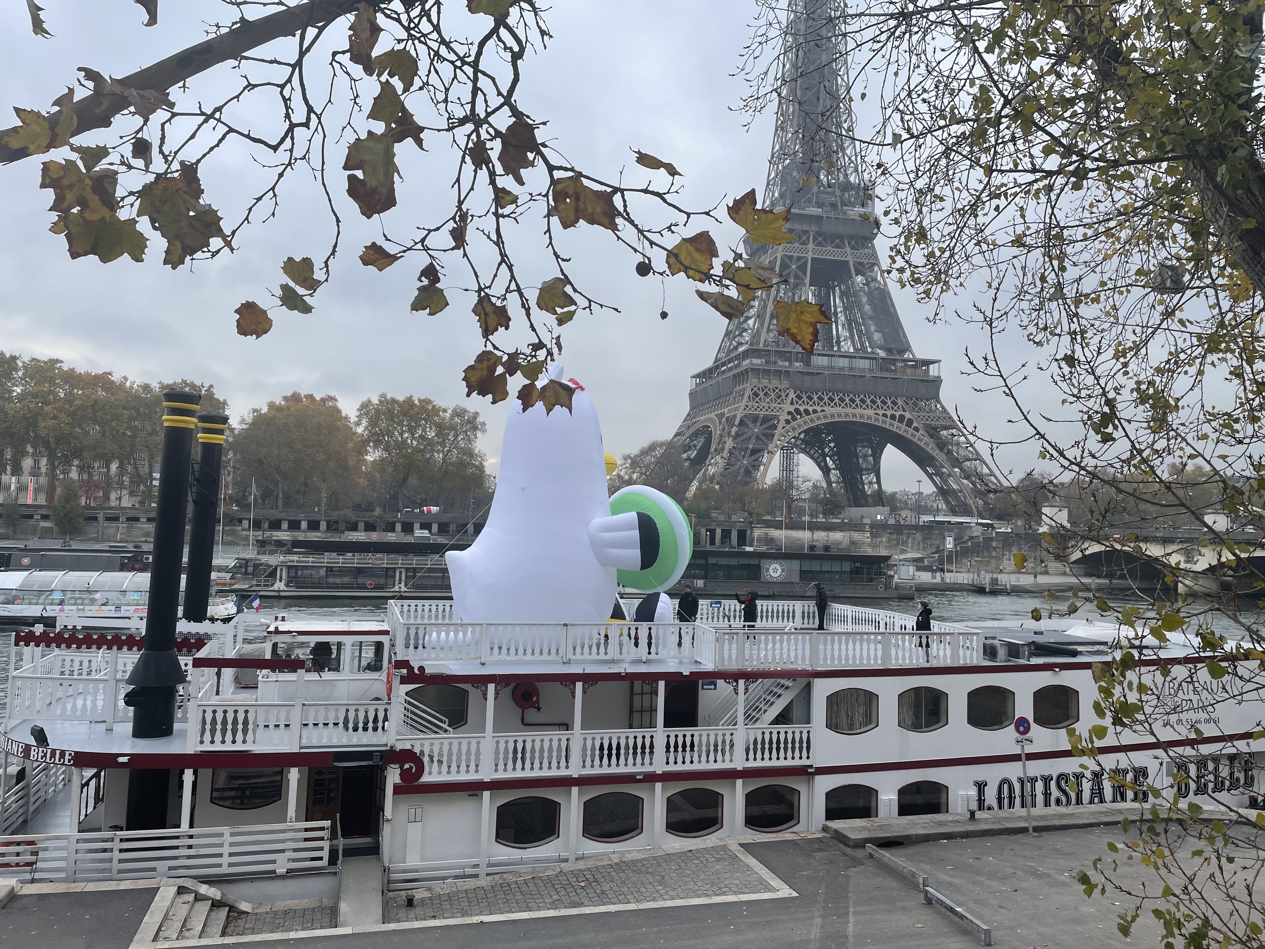 Photo n° 1 de l'avis de mogg-in.O fait le 28/12/2022 à 10:34
