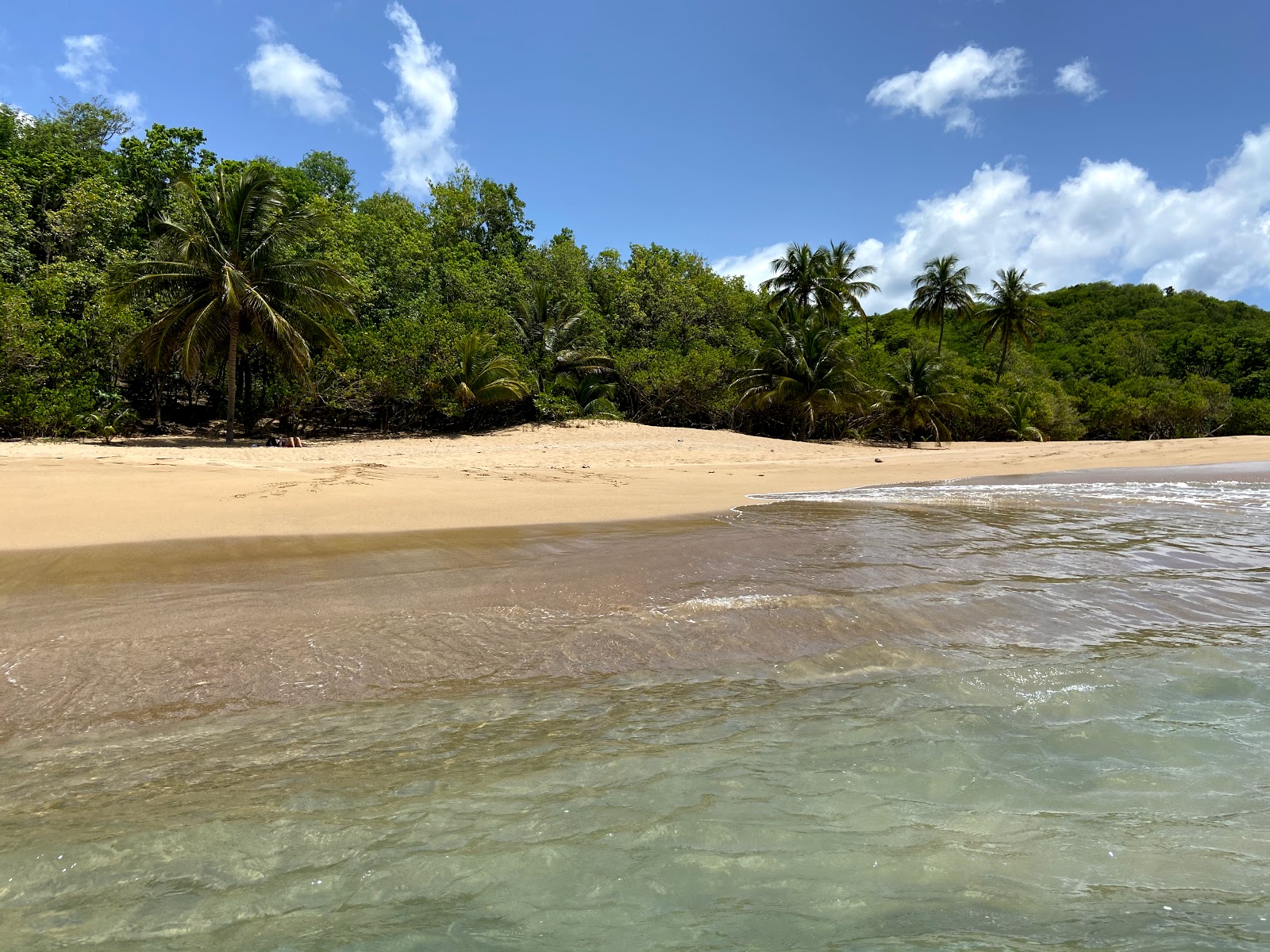 Plage de Tillet'in fotoğrafı küçük koy ile birlikte