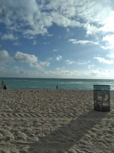 Grocery Store «M & L Food Market», reviews and photos, 7446 Collins Ave, Miami Beach, FL 33141, USA