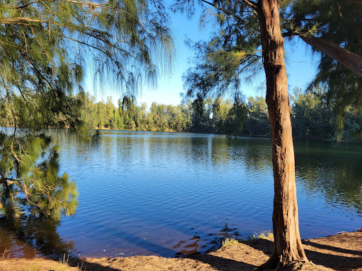 Park «Wolf Lake Park», reviews and photos, 5400 SW 76th Ave, Davie, FL 33314, USA