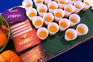 Orange3 image
