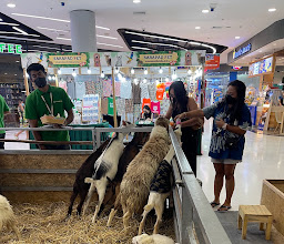 Robinson Lifestyle Buriram photo