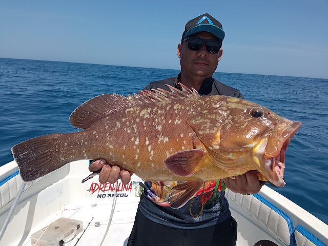 Marcelo Fisherman - Guia de Pesca em Angra dos Reis, Guia de Pesca no Rio de Janeiro, Ilha grande, Marambaia, Jorge Grego
