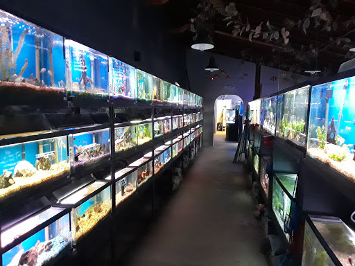 Pet Store «Pet Paradise Grooming», reviews and photos, 1115 Pueblo Blvd Way, Pueblo, CO 81005, USA