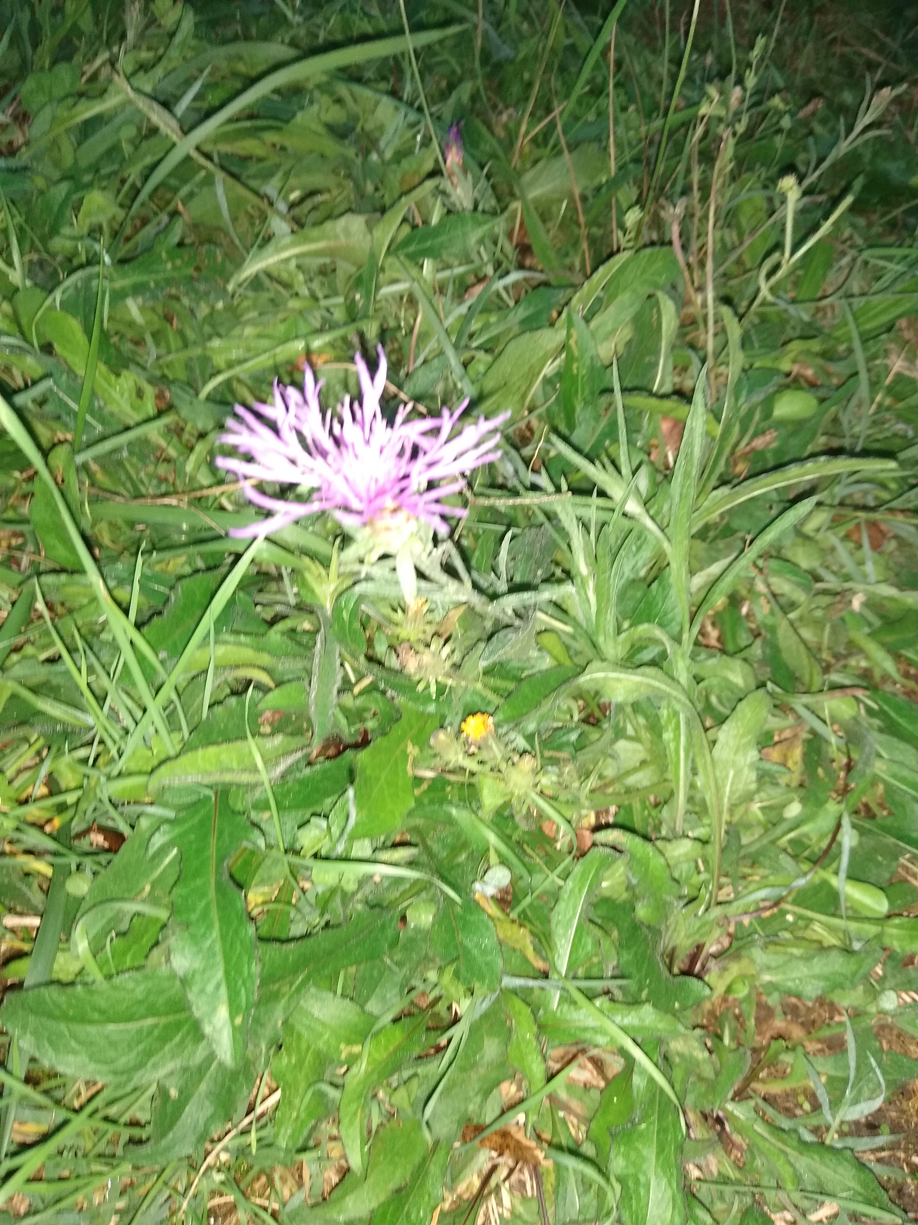 Photo n° 23 de l'avis de Cahrla.l fait le 08/10/2020 à 18:42