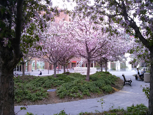 Main Photo