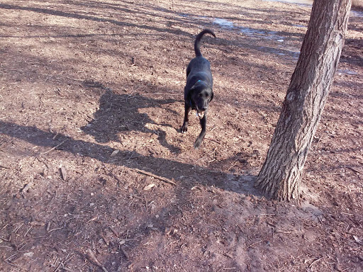 Dog Park «St. Anthony Parkway Off-Lease Dog Park», reviews and photos, 700 St Anthony Pkwy, Minneapolis, MN 55418, USA