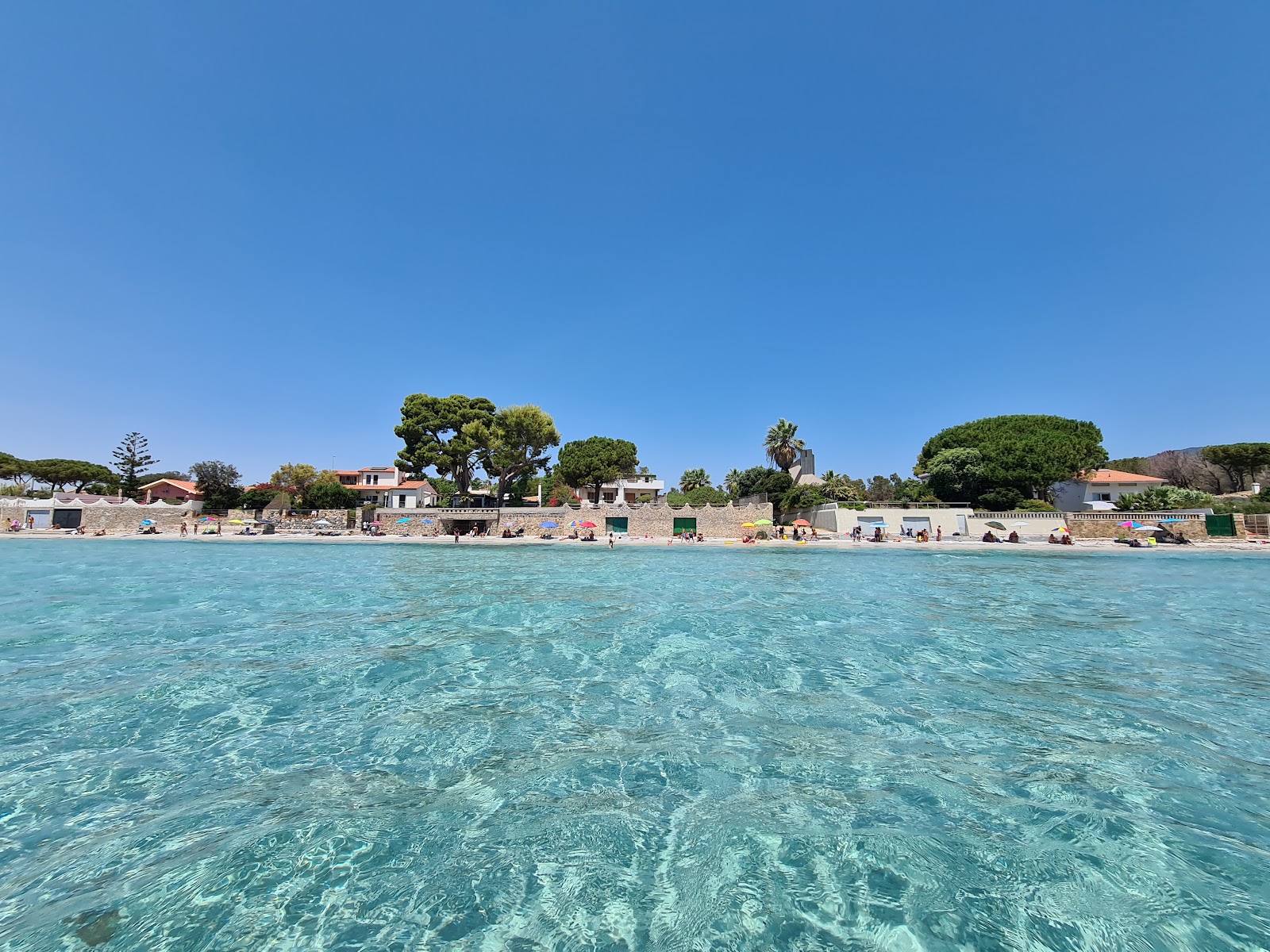 Investigación sobre Progesterona y Criotransferencias, image size:1600x1200