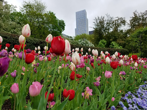 Garden «Conservatory Garden», reviews and photos, 402 5th Ave, New York, NY 10029, USA