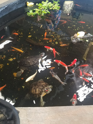 Pet Supply Store «Premier Pet Supply», reviews and photos, 15399 Merriman Rd, Livonia, MI 48154, USA