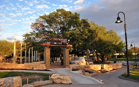 The Bosque along the Concho River image