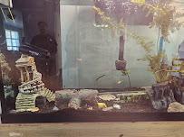 Coastal Critters - Photo 6 - Car repair in Myrtle Beach, SC, Myrtle Beach