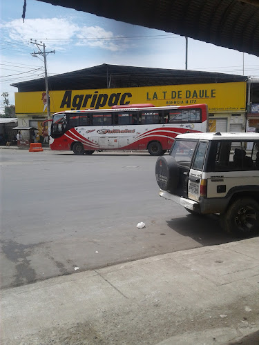 restauran luchiti poso