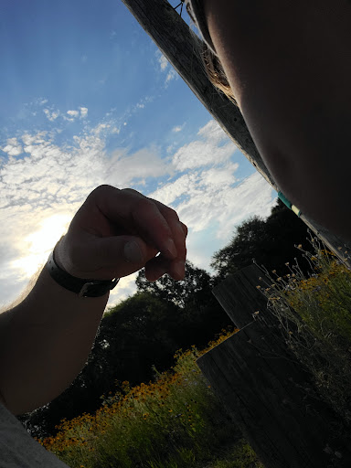 Christmas Tree Farm «Piney Acres», reviews and photos, 1115 E 1000 N, Fortville, IN 46040, USA