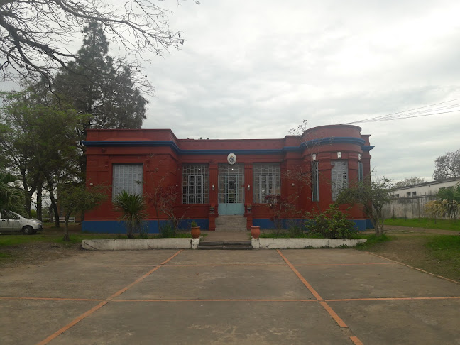 Escuela 63