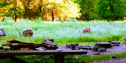 Nature Preserve «Effie Yeaw Nature Center», reviews and photos, 2850 San Lorenzo Way, Carmichael, CA 95608, USA