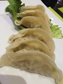 Dumpling du Restaurant japonais Yamato à Lyon - n°4