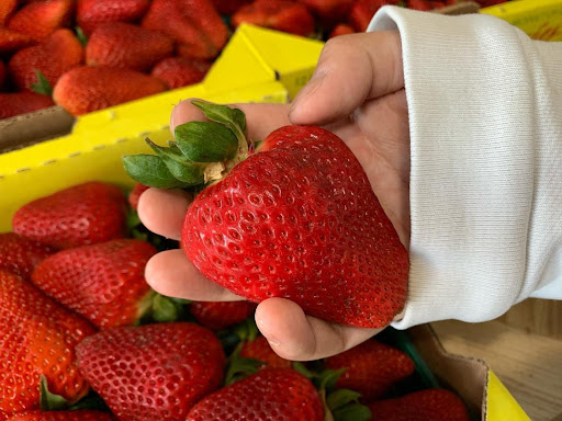 Grocery Store «Garlic World», reviews and photos, 4800 Monterey Rd, Gilroy, CA 95020, USA