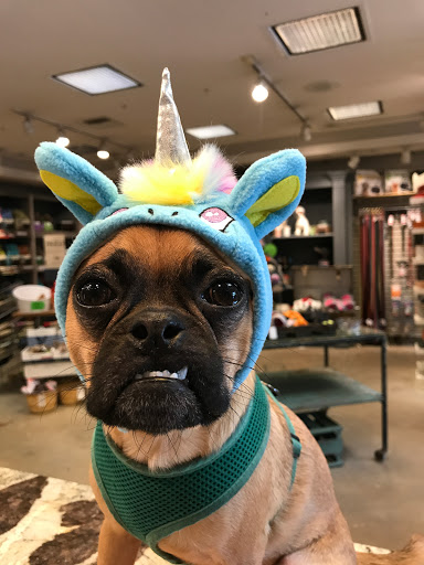 Pet Supply Store «Dog Dish», reviews and photos, 1778 Utica Square, Tulsa, OK 74114, USA