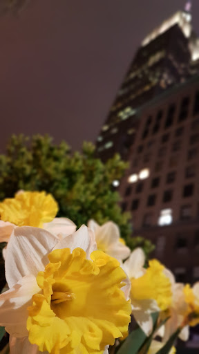 Community Center «Manhattanville Community Center», reviews and photos, 530 W 133rd St, New York, NY 10027, USA