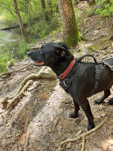 Nature Preserve «Piedmont Environmental Center», reviews and photos, 1220 Penny Rd, High Point, NC 27265, USA