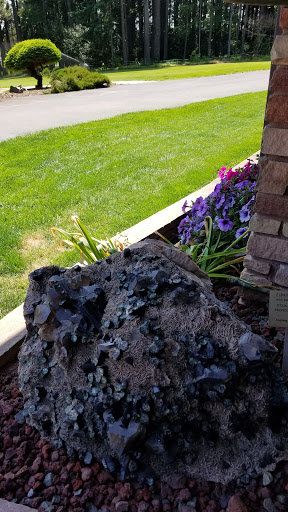 Natural History Museum «Rice Northwest Museum of Rocks & Minerals», reviews and photos, 26385 NW Groveland Dr, Hillsboro, OR 97124, USA